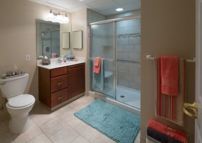 Bathroom interior with stand up shower