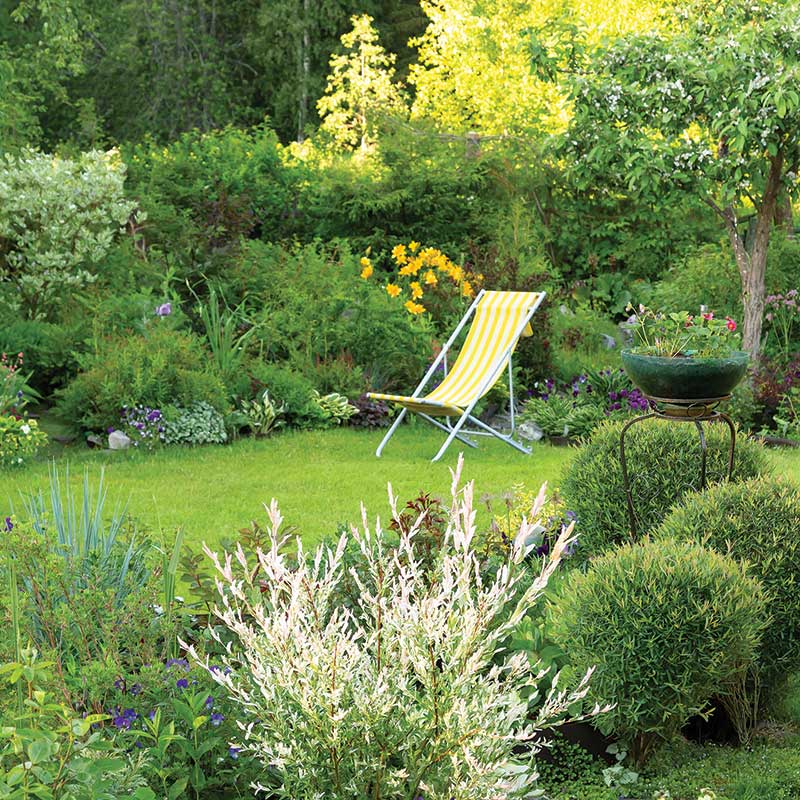 Garden area