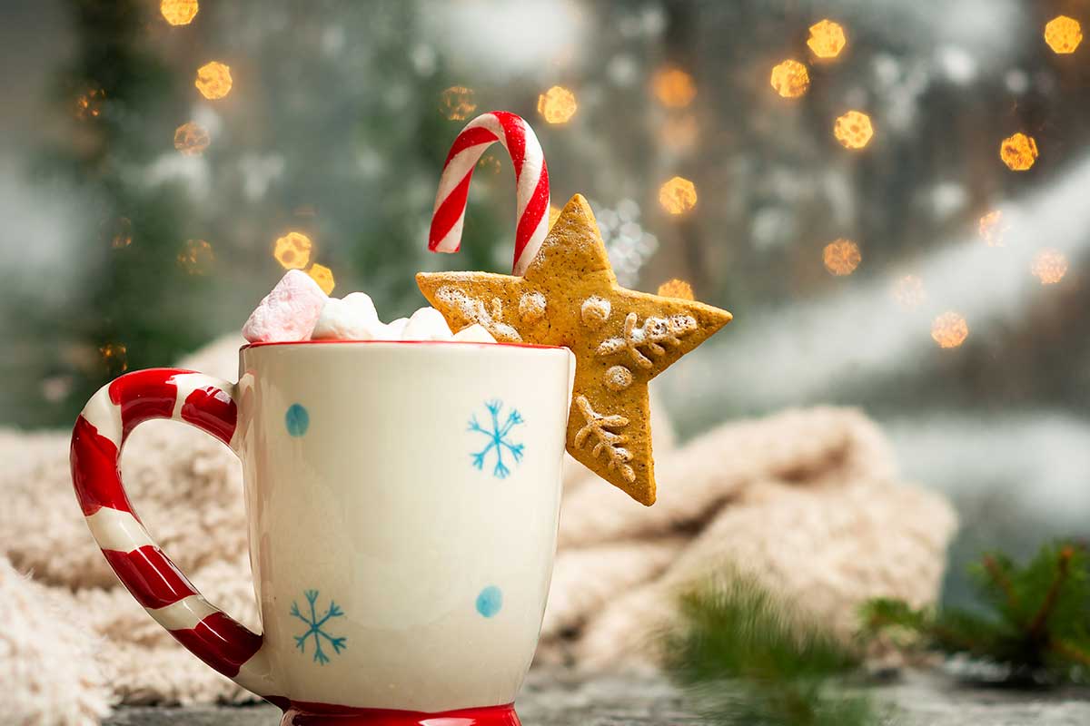 Jenner's Pond: Holiday Lights Tour