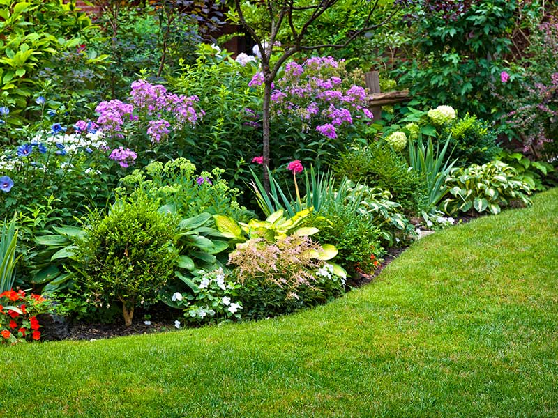 Garden path