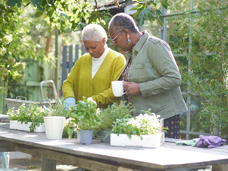 Gardening with friends