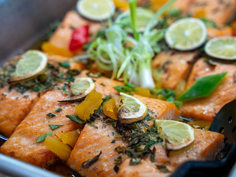 Salmon